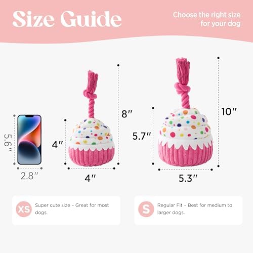 LE SURE Cute Squeaky Dog Toy for Gentle Chewers,Dog Birthday Cake Toy