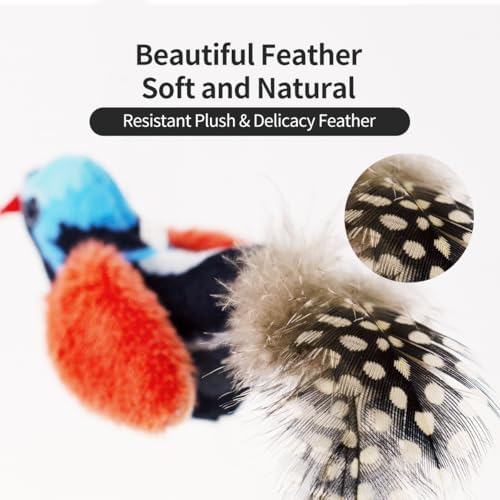 Interactive Cat Toys for Indoor Cats,Catnip and Feather,2Pcs
