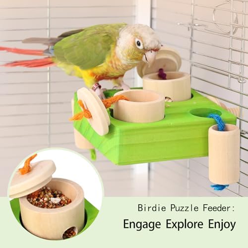 Birdie Puzzle Feeder - Interactive Foraging Toy for Parrots, Parakeets, Cockatiels, Conures | Mental Enrichment & Stimulation Game to Prevent Boredom (Green)