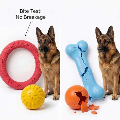 Large Dog Toy Ring and Ball Combo Set, Floating EVA 2 Pack (Red, Large)