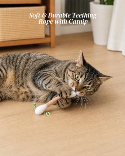 Swabs Cat Toys with Catnip, Cat Toys for Indoor Cats, 5Pcs