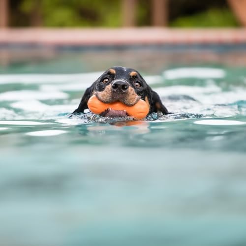 WEST PAW Zogoflex Rumpus Dog Chew Toy – Floatable Toy for Dogs, Aggressive Chewers – Puppy Chewing Toys for Catch, Fetch – Recyclable, Dishwasher-Safe, Medium 6.25", Tangerine