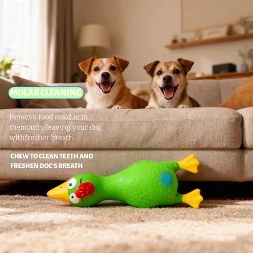 6.7" Squeaky Latex Dog Toy gripping, Cute Little Chicken Rubber Toy for Chewing and Grinding Teeth Interactive Play for Small Medium Dogs -(1Pcs Green)