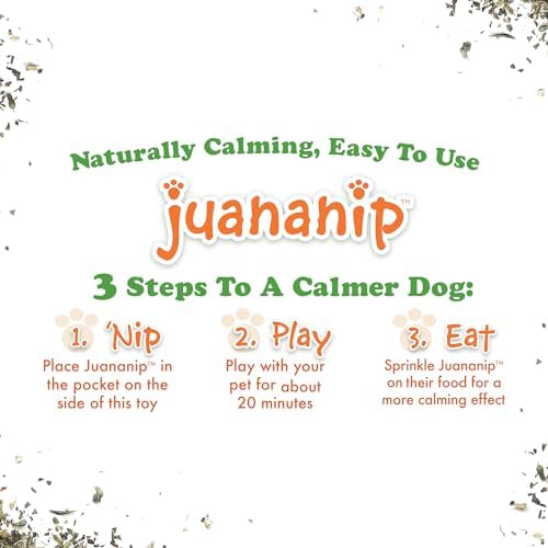 Doggijuana Tuffer Chewer Dog Toy, Tomahawk Steak | Plush, Squeaky