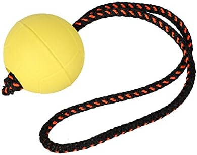 Dingo Dog Ball with Short Handle, Natural Rubber