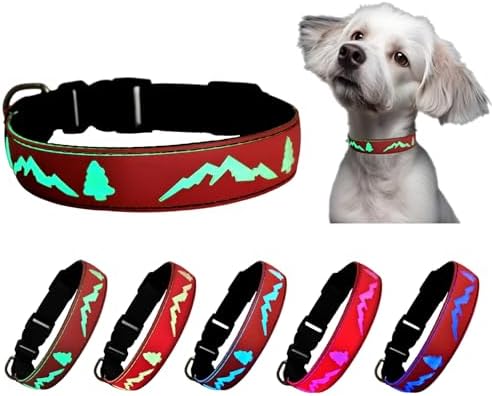 Personalized Light up Dog Collars Rechargeable with Waterproof airtag Holder for Black Dog Night Walking (RED Collar 15 Modes Lighting, M(11.8-15.7"))