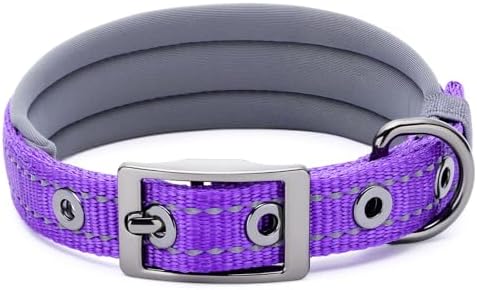 Segarty Reflective Thick Dog Collar for Large Dogs, Adjustable Wide Soft Comfortable Breathable Neoprene Padded Nylon Collar with Heavy Duty Metal Buckle for Large Medium Breeds (L, Purple)