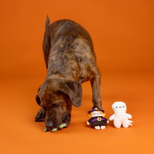 Fringe Studio Pet Toy, Ghouls Wanna Have Fun Plush Dog Toy 3 PCS Set,Pet Shop Collection (662192)