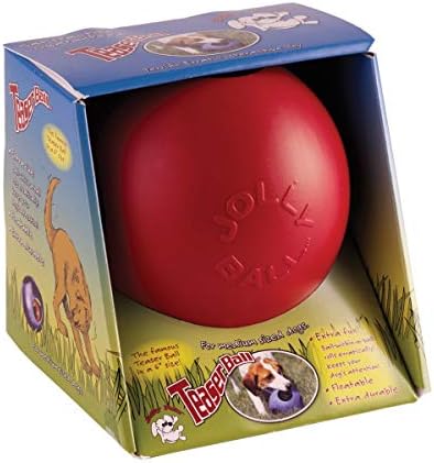 Jolly Pets Teaser Ball Interactive Dog Toy, 6 in Medium, Blue