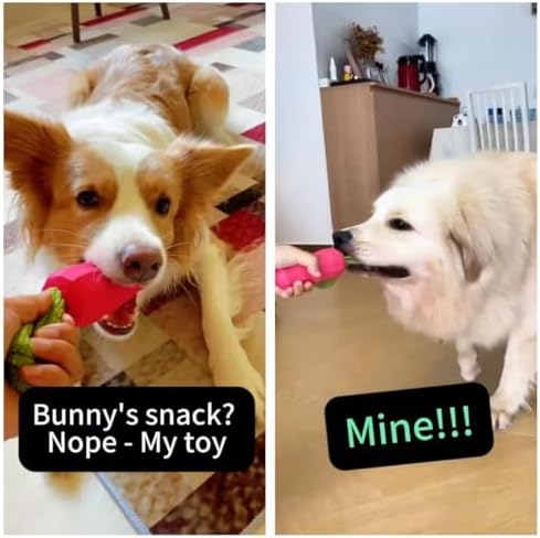 MewaJump Dog Chew Toys for Aggressive Chewers, Rubber Squeaky Dog Toys