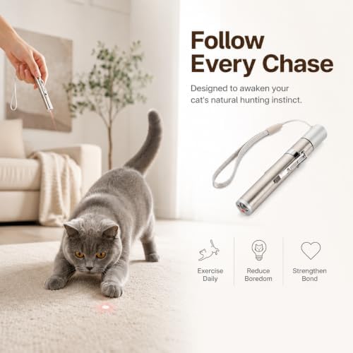 USB Rechargeable Cat Toy Pen, 2-Pack Interactive Toy for Indoor Cats