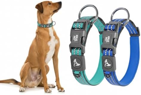 Dog Collar Bundle | Includes Turquoise Large (Width - 1", Length - 21"-25") & Blue X-Large (Width - 1", Length - 25"- 27.5") Collars | Adjustable Padded Dog Collar with Heavy Duty O Ring