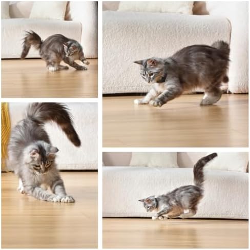 Interactive Cat Toys Laser Collar for Indoor Cats, Upgraded Automatic Cat Laser Toy with Red Light, Interactive Cat Toys for Bored Indoor Cats