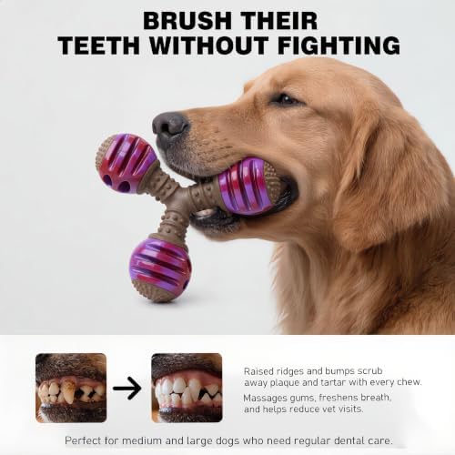 MECOOL Durable Dog Chew Toys for Medium Dogs - Squeaky Rubber Balls with Nylon Reinforcement, Interactive Lick & Chew Toy for Aggressive Chewers, Pet Teething Toy Red,Bacon Flavored