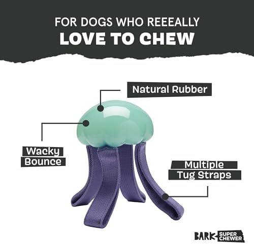 BarkBox Jelly Fetch Dog Toy - for Medium Dogs