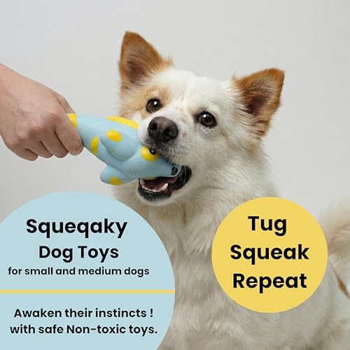 Squeaky Dog Toys [2-Pack], Natural Latex Interactive Squawking Toy for Small Medium Dogs, Durable Bite-Resistant Puppy Chew Toys for Boredom & Teething