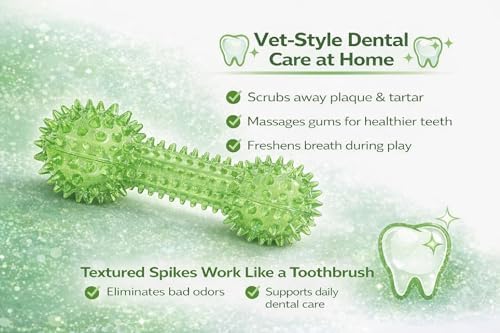 Squeaky Spiky Dog Barbell Toy for Teeth Cleaning & Gum Massage 6.3 Inch Medium Large Dogs Green | Spiny TPR Rubber Chew Toy for Fetch Play Interactive Dental Barbell Durable BPA Free Nontoxic Floats
