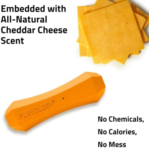 Playology Squeaky Chew Stick - Scented Dog Toy - Medium, Cheddar Scent