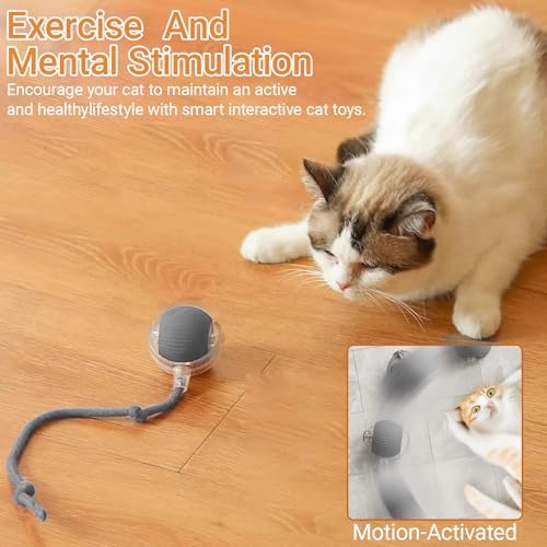 360° Interactive Dog Cat Toys Balls(Grey, one Size)
