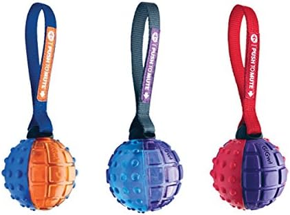 SPOT Ethical Pets Push to Mute Dog Toy, Ball with Strap