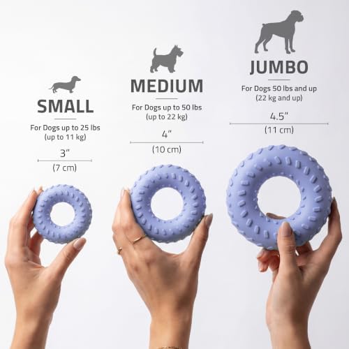 Playology Dual Layer Ring Dog Toy for Aggressive Chewers, Lamb Scent