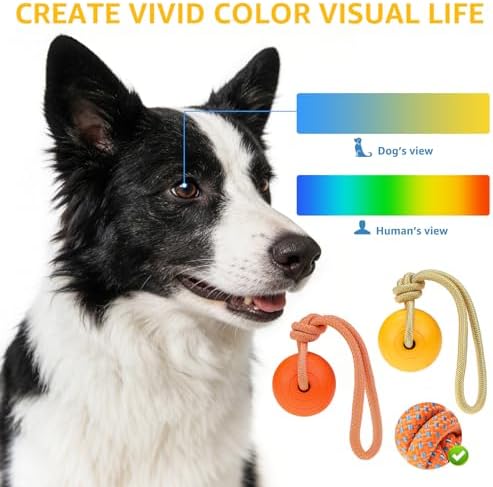 SCENEREAL Floating Dog Pool Toys - Ball on Rope Fetch and Tug-of-War Toy for Medium Large Dogs Outdoor Training, EVA Rubber Water Pet Interactive Toys for Summer Beach, Orange