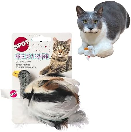 SPOT Birds of a Feather Catnip Toy for Cats – Interactive Plush Toy for Swatting, Pouncing, and Chasing – 6in, Assorted Styles