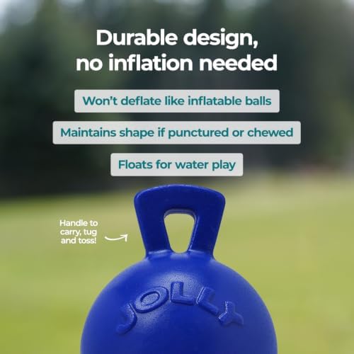 Jolly Pets Tug-n-Toss Dog Toy Ball with Handle, 8 Inches/Large, Blue
