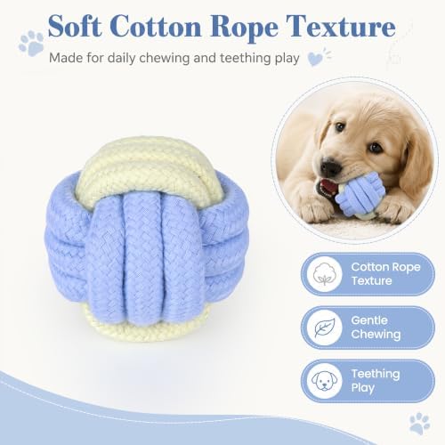 Dog Rope Toys for Puppies and Small Dogs, 6 Pack Cotton Rope Chew and Tug Toys for Teething Puppies, Tossing and Indoor Play (Blue)