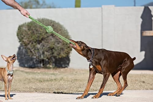 Jolly Pets Knot-N-Chew Gentle Tugger Bungee Rope Toy, Large/X-Large