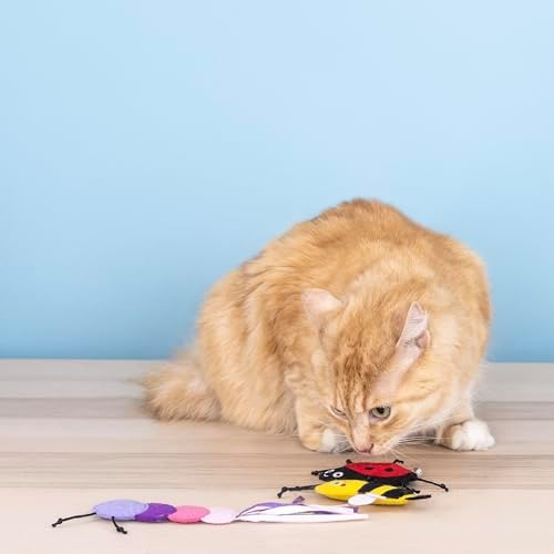 Fringe Studio Living THE Bug Life, Small Plush Cat Toy, 3PCS Set, PetShop Collection (904041)