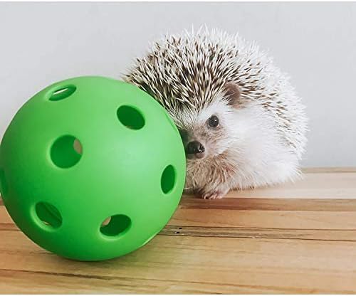 Hedgehog Ball - Interactive Cage Accessory Floor Toy - for Hedgehogs, Chinchillas, Sugar Gliders, Rabbits, Guinea Pigs, Hamsters, Degus, Rats, Parrots, Birds & Other Small Pets