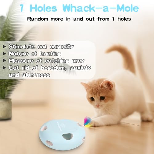 Rechargeable Interactive Cat Toy, Blue