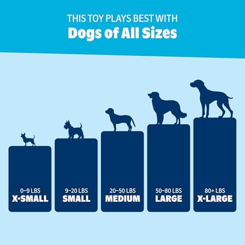 BarkBox Chicky and Woofles to Go Flying Disc Dog Toy - for Dogs
