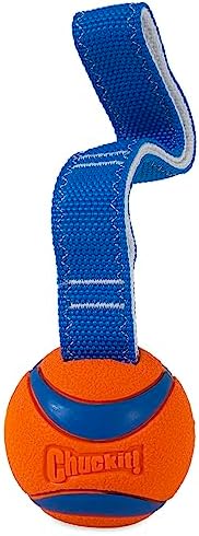 Chuckit! Ultra Tug Dog Toy (Medium) Flying Squirrel Fetch Dog Toy (Medium)