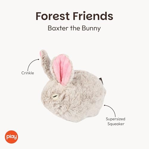 P.L.A.Y. Cute Plush Dog Toys - Forest Friends Critter Themed Durable Squeaker Crinkle Chew Toy, Great for Puppies & Small, Medium, Large Dogs - Machine Washable, Recycled Materials (Bunny)