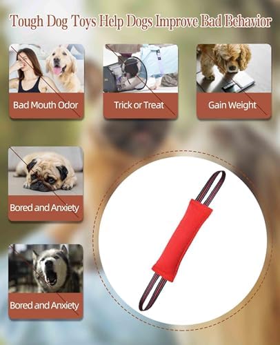 Clysoru Tug Toy for Dogs Tug of War Dog Toy with 2 Strong Red Band Handles Lasting Training Equipment Puppy to Large Dogs Interactive Toy Best for Tug of War Pull Indestructible Rope Toys (Vermeil)