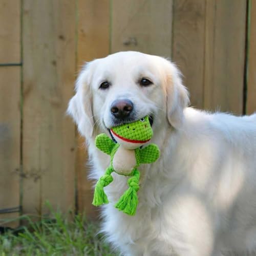 Plush Squeaky Knot Dog Toys, Interactive Chew Toys (Green Frog)