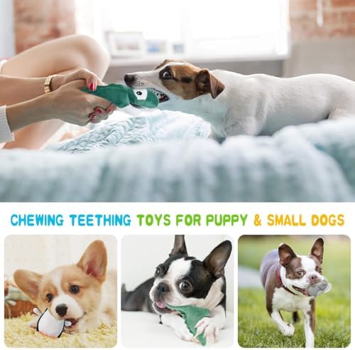 Squeaky Dog Toy for Puppy Small Medium Dogs, Stuffed Samll Dog Toys 12 Pack | Soft Plush Pet Doggie Toy Set, Cute Safe Pet Chew 12 Pack for Puppies Teething