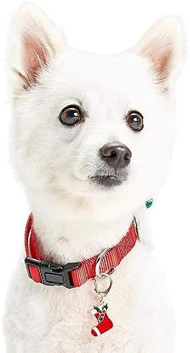 Blueberry Pet Christmas Accessory Set of Collar Slide Hair Clip and Pedant for Dogs & Cats, Santa Claus Decor and Stocking Tag