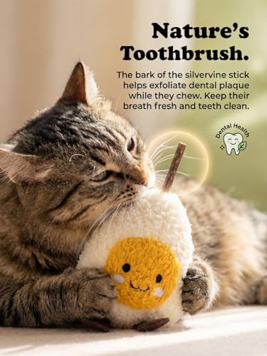 Cat Plush Toy [6000mg A+ Natural Catnip & Silvervine] with Teething Stick