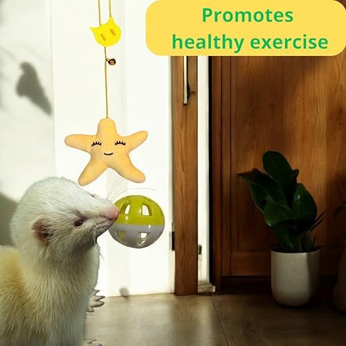 Interactive Bell Ball and Hanging Toy for Ferret, Star Hanging Toys and Interactive Balls for Ferrets Cat Small Dogs, Ferret Enrichment Toys, Ferret Accessories, Small Pet Gifts (Orange - Star)