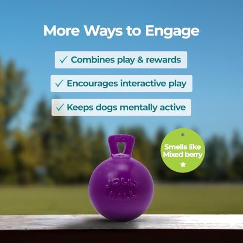 Jolly Pets Tug-n-Toss Heavy Duty Dog Toy Ball with Handle, 6 Inches/Medium, Purple