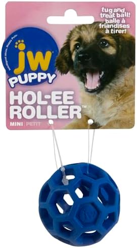 JW Pet Hol-ee Roller Treat Dispenser Puzzle Ball, Mini 1.75in, Rubber