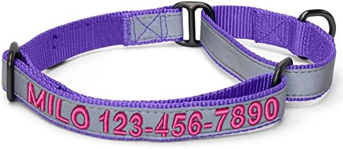 Pawtitas Customized Martingale Dog Collar Reflective Reflective Dog Collar Embroidered Personalized Name Phone Number Adjustable for Puppies Small Medium Large Size Dogs Large Purple