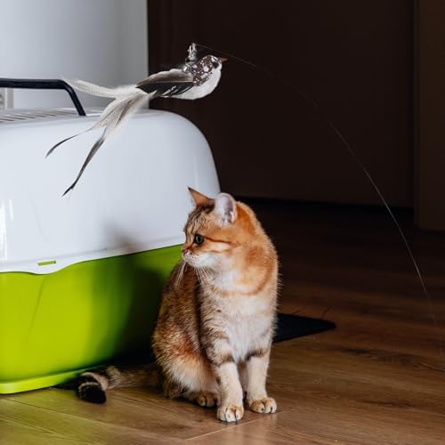 Toddmomy Cat Plumage Replacement Attachment with Long-Tailed Songbird Plumage Head Interactive Cat Wand Refill Pet Accessory and Exercise