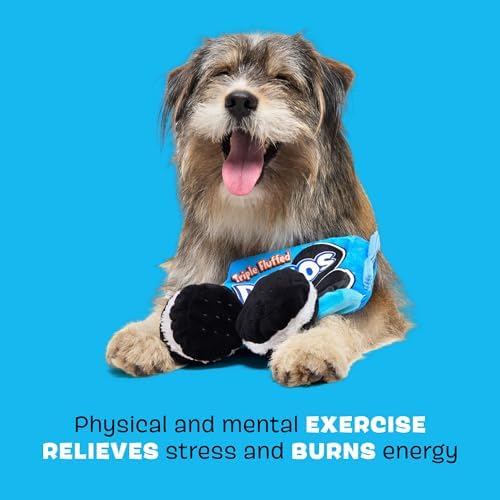 BarkBox Dogo Dunkers Plush Dog Toy - for Extra Small to Medium Dogs