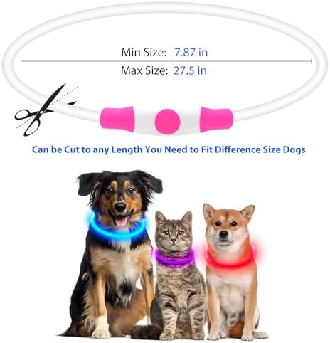 Flashseen LED Dog Collar, USB Rechargeable Glow Lighted up Collar, Purple