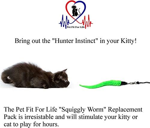 Pet Fit For Life 5 Piece Replacement Pack of Worms for Cat and Kitten Toy