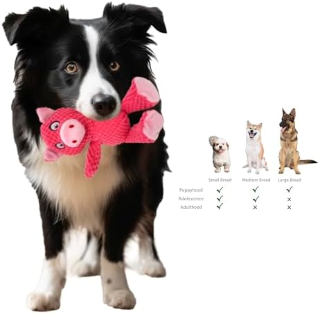 Jalousie Multipack Dog Squeaky Toys Strong Almost Indestructible, with Added Liner for Longer Play Dog Chew Toys (Medium to Large Breeds, 5 Pack Checks for Aggressive Chewers)